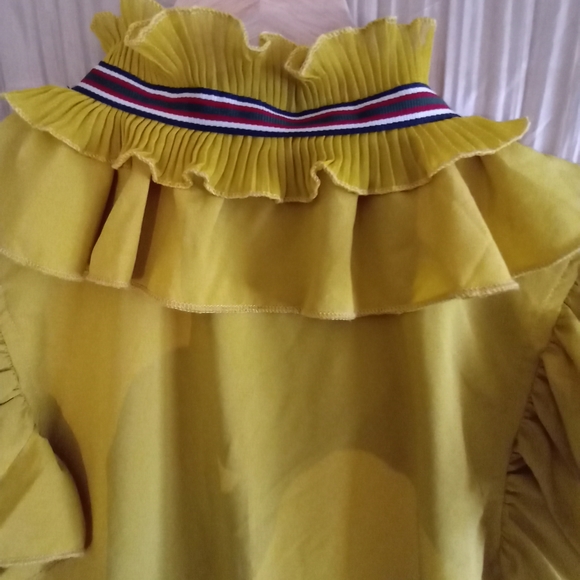 Lovesong Ruffled Blouse - Picture 5 of 5